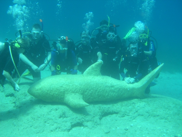 Diving